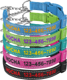 Personalized Martingale Dog Collar-Reflective Martingale Collars with Buckle￼