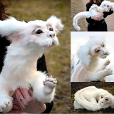 Plush Doll Toys Falkor from The Never ending Story