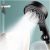 Filtered Shower Head with Handheld High-Pressure Handheld