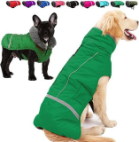 Dog Winter Coat￼