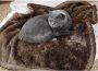 Waterproof Dog Blanket 31×39” Cat Bedding￼