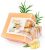 Ginger Bar Soap