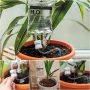  Irrigation Dripper for Plants￼