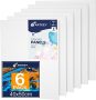 6 Packs Canvas Panels