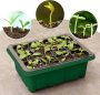  12 Hole Plant Seed Grow Box Nursery Seedling Starter￼