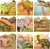  36 Valentines Day Cards with Envelopes and Dinosaur Tattoos￼