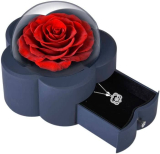  Preserved Red Real Rose with Light Luxury Style Silver Necklace￼
