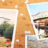 100Pcs Plastic Round Faux Pearl Head Pins