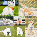 Pet traction rope￼