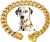 Stainless Steel Dog Chain Cuban Collar Gold Color Metal Dog Chain Collar Cuban Link￼