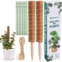 2-4 Pcs Moss Poles￼