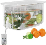 1-Gallon Beverage Dispenser for Refrigerator￼