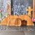  Nativity Scene Decor￼