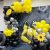  Transformers Birthday Party Decorations￼