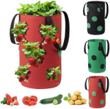 Strawberry planting bag￼