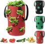 Strawberry planting bag￼