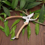 Pruners Wood Handle Garden Shear Kit￼