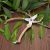 Pruners Wood Handle Garden Shear Kit￼