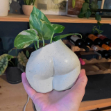 Planter Pot￼