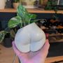 Planter Pot￼