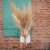  46-48 inches Tall Natural Dried Pampas Grass￼￼