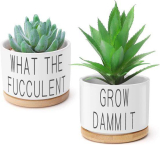 Succulent Pots–2 Pack￼