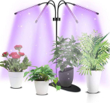  Grow Lights for Indoor Plants￼