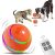 Interactive Dog Ball Toy with Remote Control￼